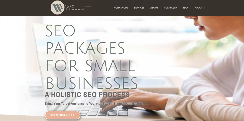 Well Optimized SEO Website Home Page - SEO Experts